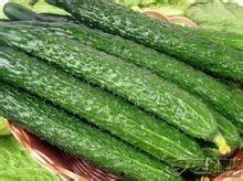 阿瓜怎么吃减肥最快视频,视频揭秘快速瘦身秘诀