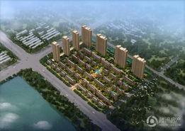 中央华府吃瓜视频,揭秘幕后真相，带你走进神秘事件现场